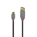 LINDY 36888 USB 2.0 Type A to C Cable, Anthra Line 3m - IT Supplies Ltd