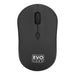 Evo Labs BTM-001 Bluetooth Mouse, 800 DPI Optical Tracking Matte Black - IT Supplies Ltd